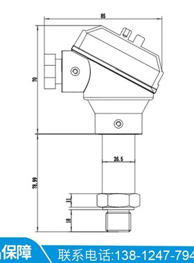 PCM300 铠装式压力变送器 铸铝接线盒4-20mA室外户外压力变送器