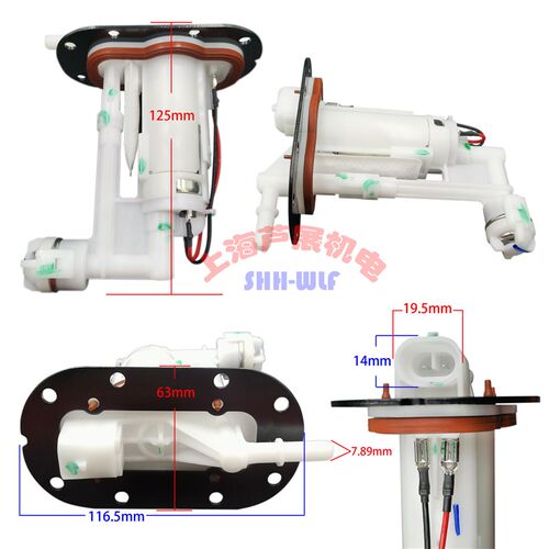 电喷配件适用于隆鑫500摩托车汽油泵总成 PW3031C 隆鑫650总成