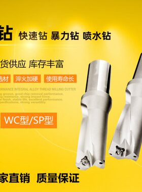 WC/SP型U钻4倍径38 38.5 39 39.5 40 40.5 41 41.5 42 42.5可定做