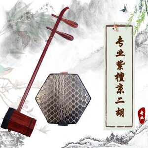 紫檀京二胡刘梦虎京二胡高档非洲小叶紫檀京二胡剧团演奏专用高档