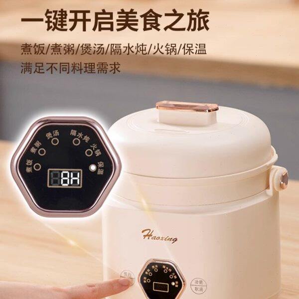 多功能电炖锅煮粥神器电煮锅小型电饭家用全自动煲婴儿辅食专用锅