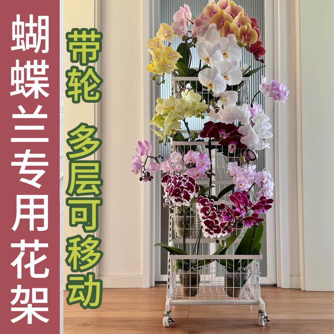 蝴蝶兰花架子客厅落地式可移动专用多层架适合放阳台展示的小推车