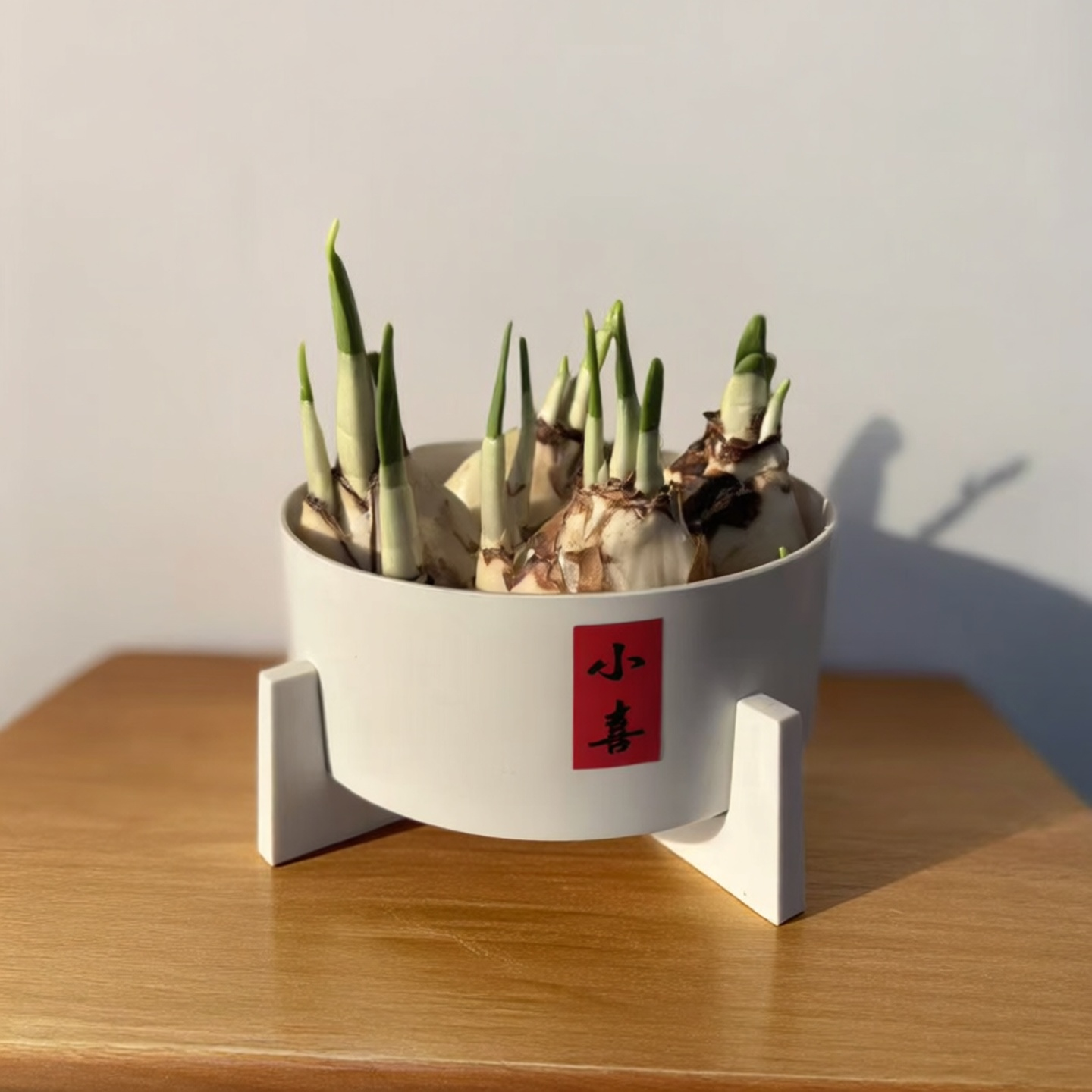 水仙花盆无孔水培塑料加厚铜钱草碗莲荷花睡莲水养植物专用小花盆,鲜花速递/花卉仿真/绿植园艺,花盆,淘宝优惠券,粉丝福利购,淘宝优惠卷