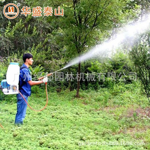 华盛泰山背负式喷雾器 3WZ-7四冲程高压喷雾机大棚农用打药喷虫机