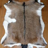 挂毯 客厅卧室书房玄关地毯 壁毯 皮毛一体 整张彩色花山羊皮154