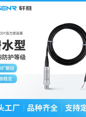 PCM500Y高精度潜水式IP68防护4-20mA压力变送器静压式液位变送器