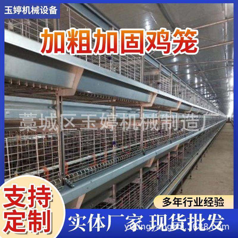 供应蛋鸡笼自动捡蛋机自动层叠蛋鸡笼捡蛋带蛋集蛋一体机热镀锌,畜牧/养殖物资,特种养殖设备,淘宝优惠券,粉丝福利购,淘宝优惠卷