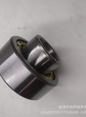 二类圆柱滚子轴承J2310EuCM 42610E 现货厂家铜保持器超精滚珠