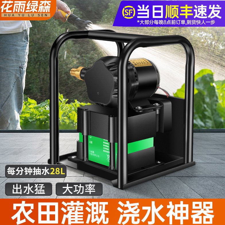水泵锂电抽水浇菜神器自吸电动充电式12v24v直流农用大功率抽水机