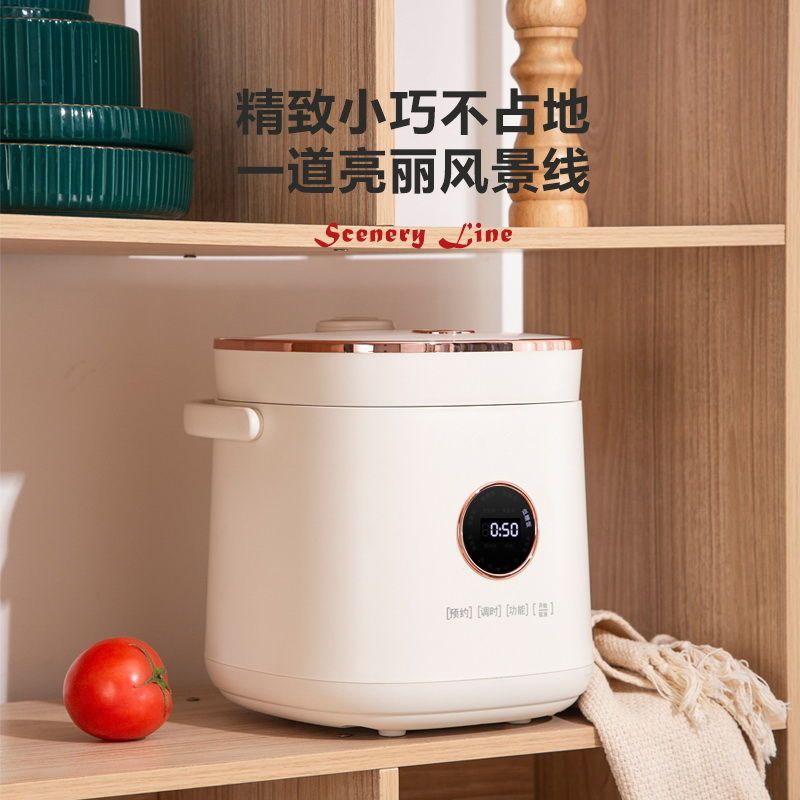 德国oic低糖电饭煲2升L小型米汤分离电饭锅多功能家用Y1-3人沥糖