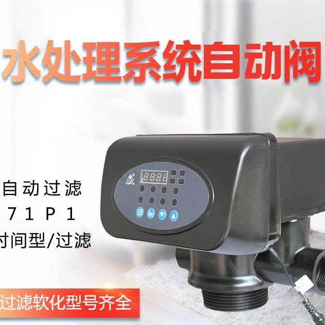 润新全自动反冲洗过滤多功能控制阀头F71P1 F75A1 N75B1 水处理阀