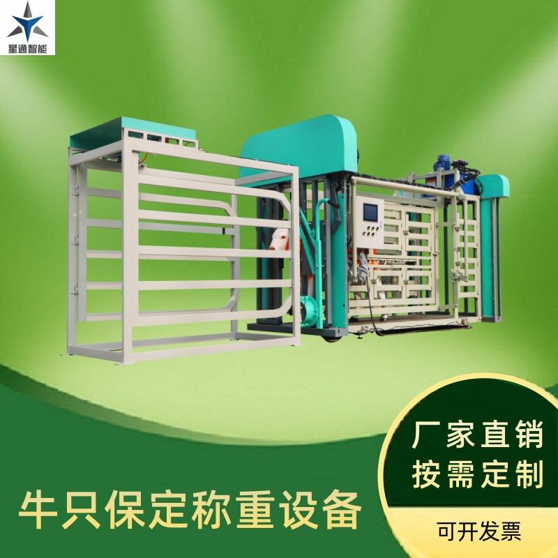 保定称重智能牛只养殖管理设备全自动化厂家直销固定架称重分群