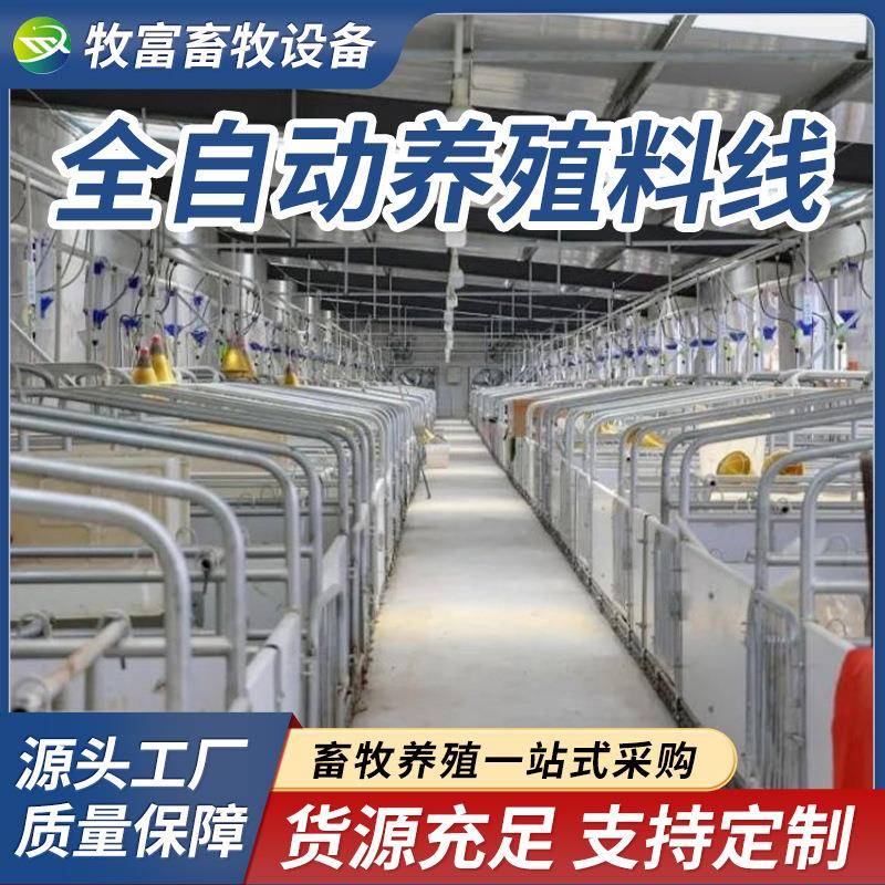 养猪料线全自动赛盘链条上料线养殖场饲料输送料线