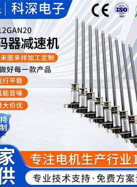 直流齿轮减速电机螺纹螺杆加长轴低速马达S-12GAN20编码器减速机