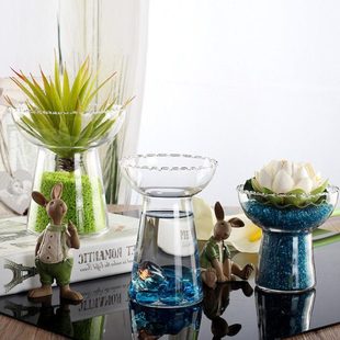 台面水培现代简约 家用小清新信客厅仙人球风花盆透明子玻璃花瓶