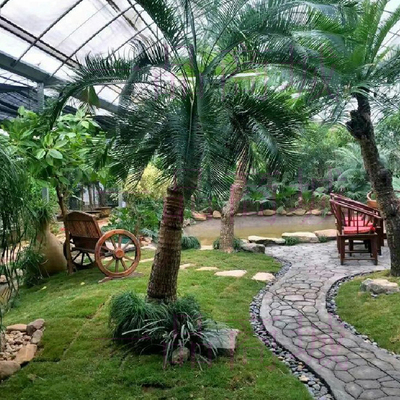 园艺用品工具强化小路造型水泥分割鹅卵石装修Q拼花路面大石头模