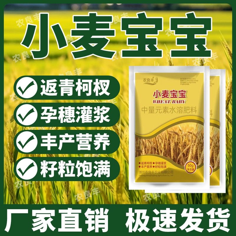 小麦宝宝叶面肥料麦黄金种植专用补充营养穗大粒饱生根壮苗增产
