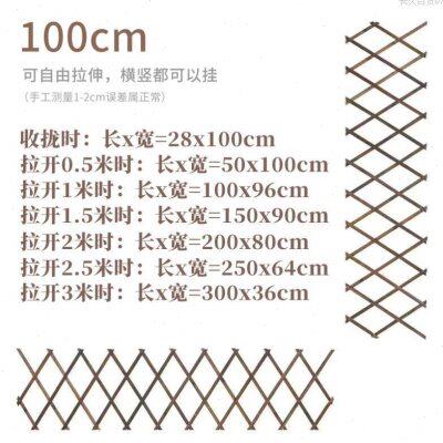 挂墙山乌龟墙上防护栏挂花盆格子挂架菜园网格花架绿萝小藤本直发