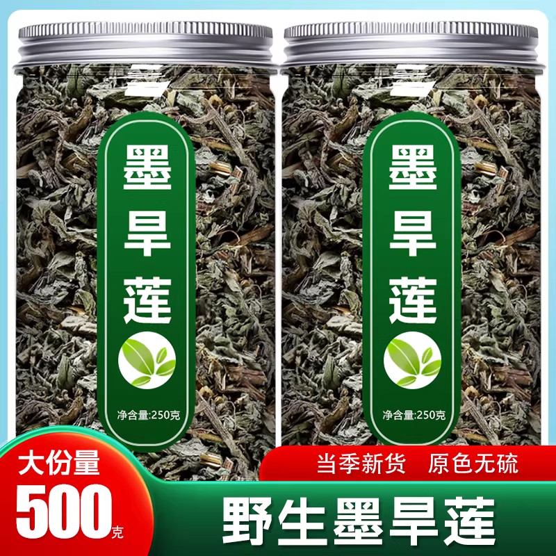 正品野生墨旱莲女贞子茶