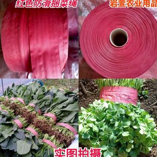 红色再生料大棚蔬菜专用绳帮带捆绑带塑料捆扎绳农用香菜宽包装绳