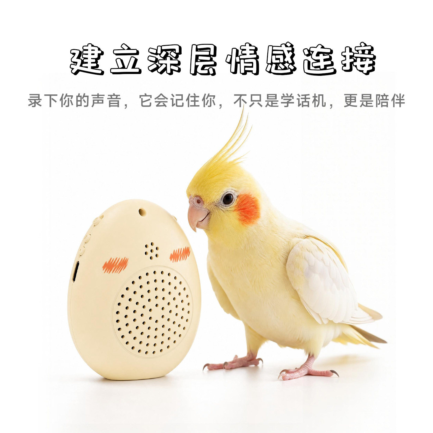 富鑫宠物鹦鹉鸟用训练教学说话学习机神器定时录音真人发声2