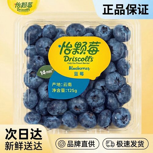 Driscoll's 怡颗莓云南蓝莓当季新鲜水果125g/盒中果大果