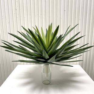 仿真手感单棵大植物剑麻手感软胶仿真植物沙漠风格 龙舌兰无盆