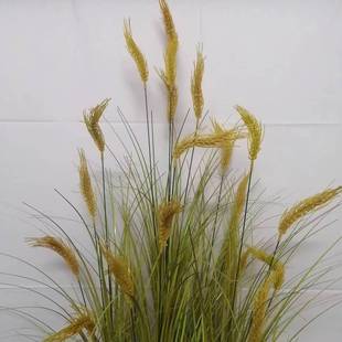 仿真芦苇草草团植物造景隔断仿真草堆软装造景落地橱窗装饰摆件