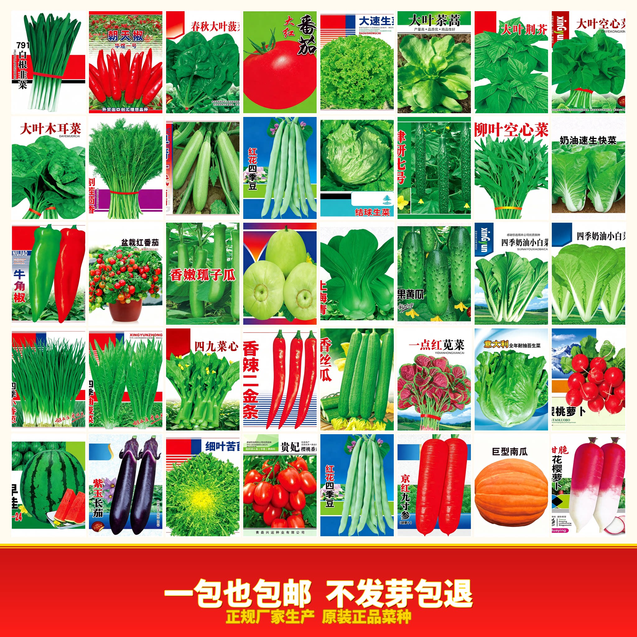 蔬菜种子四季播盆栽阳台庭