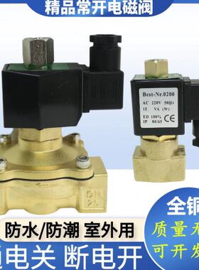 TXPC常开电磁阀铜水阀2分4分6分1寸通电关 断电开 气阀2W160T-15