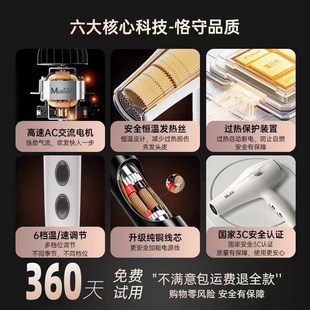 官方正品电吹风机发廊专用大功率负离子护发家用大风力速干冷热风