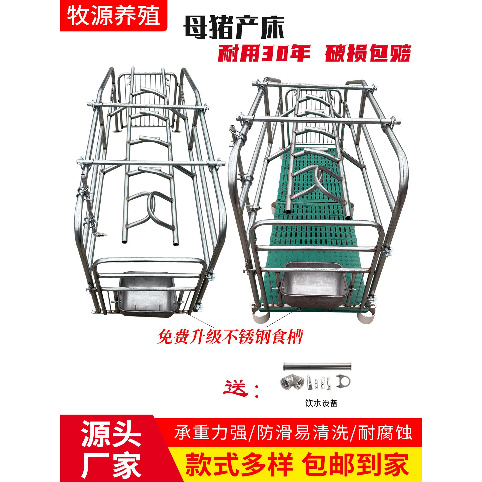 落地式母猪产床产保两用猪用保育床升级不锈钢食槽加粗产保一体床