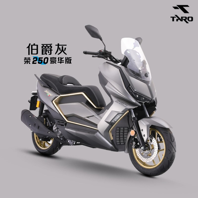 原装台荣250水冷踏板车燃油摩托车大型成人旅行车整车可上牌