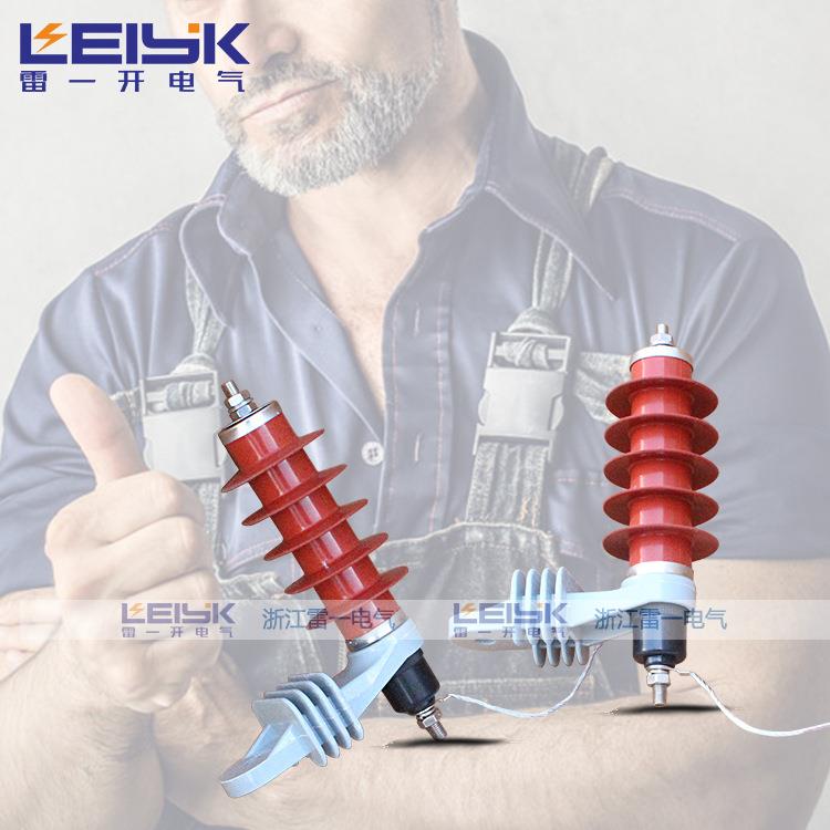 雷一HY5WS-17/50L带脱离器支架接地线氧化锌避雷器10KV