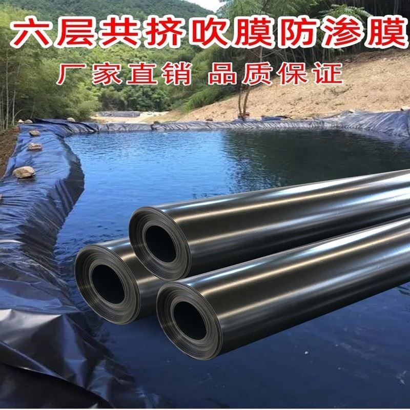 鱼塘防渗膜HDPE加厚黑色土工膜护坡养殖膜防水布专用虾鱼池藕池膜