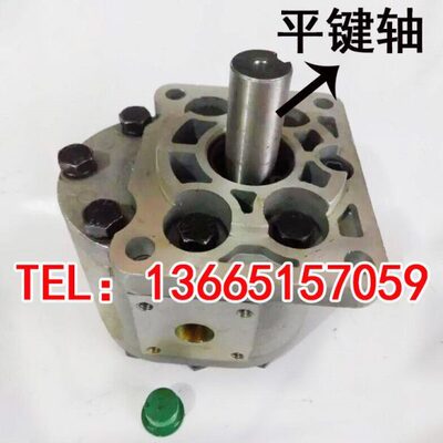 齿轮油泵CBT-G580 CBT-G563 CBT-G532 CBT-G540 CBT-G550 G525