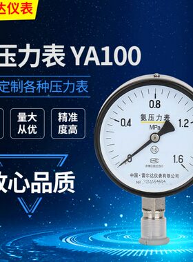 雷尔达YA100氨气压力表测压表 全不锈钢精密压力表