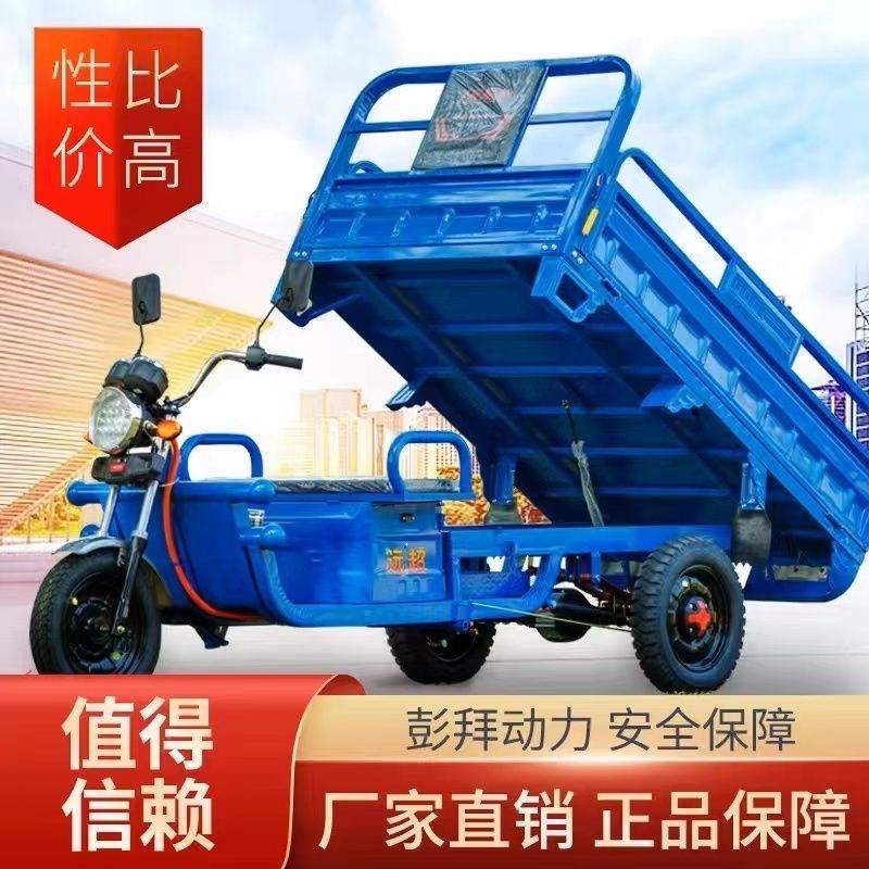 电动三轮车成人货运拉货载重王快递爬坡山区代步车农用摆摊货工厂
