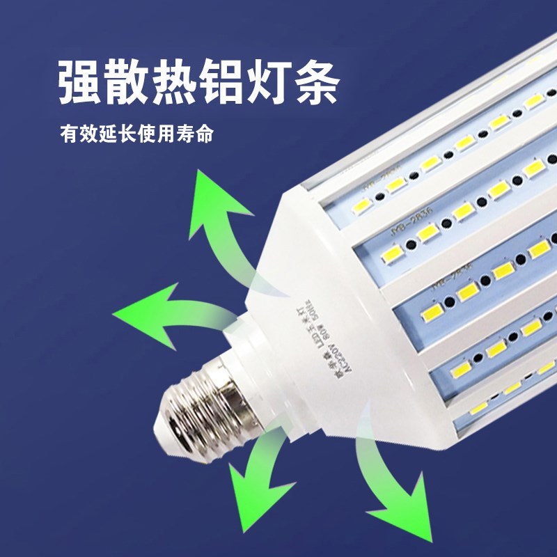 低压led玉米灯泡12V24V36V交直流电瓶摆摊太阳能机床船用电动车灯