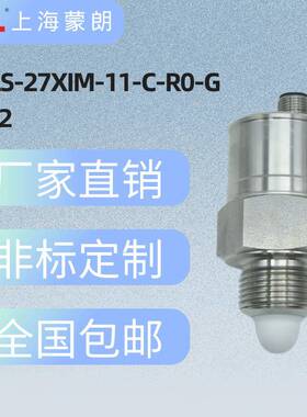 DLS-27XiM-11-C-R0-GE12阻抗谱开关替代捷克DINEL迪耐尔液位计