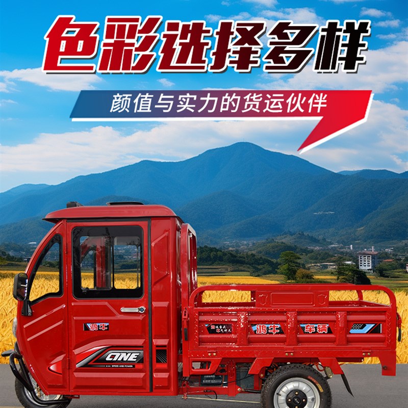 电动三轮车小型拉货家用货车2025新款农用国标可上牌载重王带雨棚