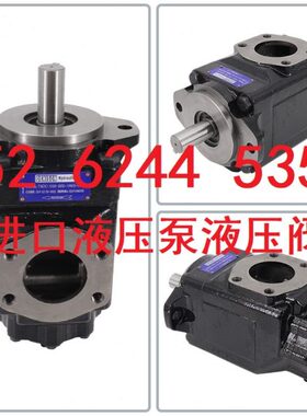DENISON丹尼逊 T6CCW 025 022/020/017/014/012 1R00/2R00 C100