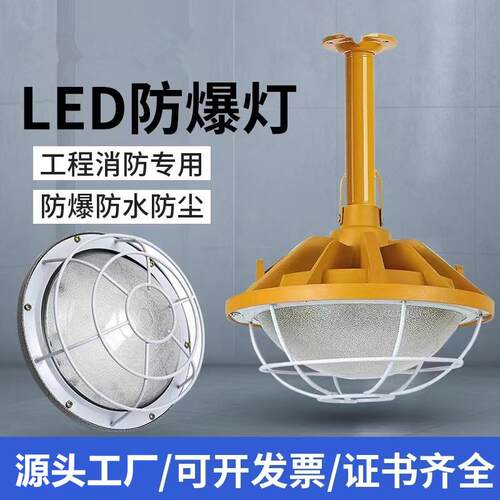 现货防爆灯led地雷灯厂房仓库照明灯50W100W圆型隔爆型灯