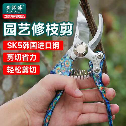 黄师傅进口SK5钢修枝剪园艺剪盆栽枝剪果树专用剪花园树枝剪