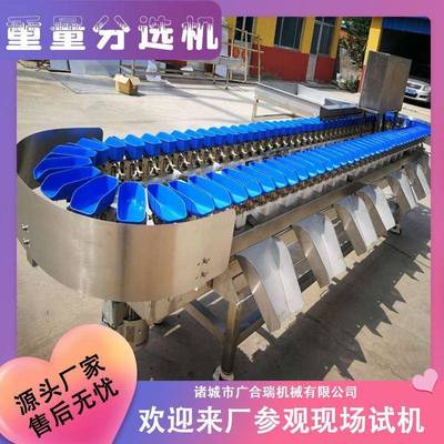 小龙虾重量分选机海蛎子海参分级机设备沃柑圣女果火龙果分拣机