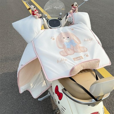 快乐小狗电动车挡风被冬四季通用2025新款摩托车双面防水加绒加厚