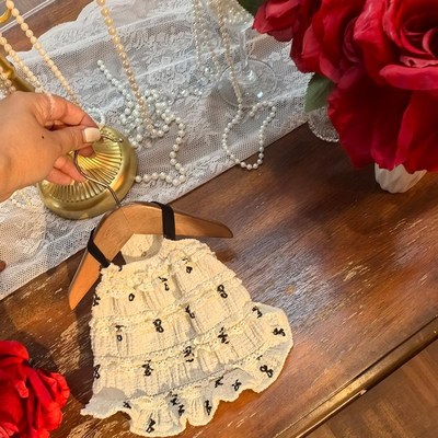 比熊马尔济斯约克夏超小体泰迪衣服宠物裙子猫咪狗狗衣服夏季薄款