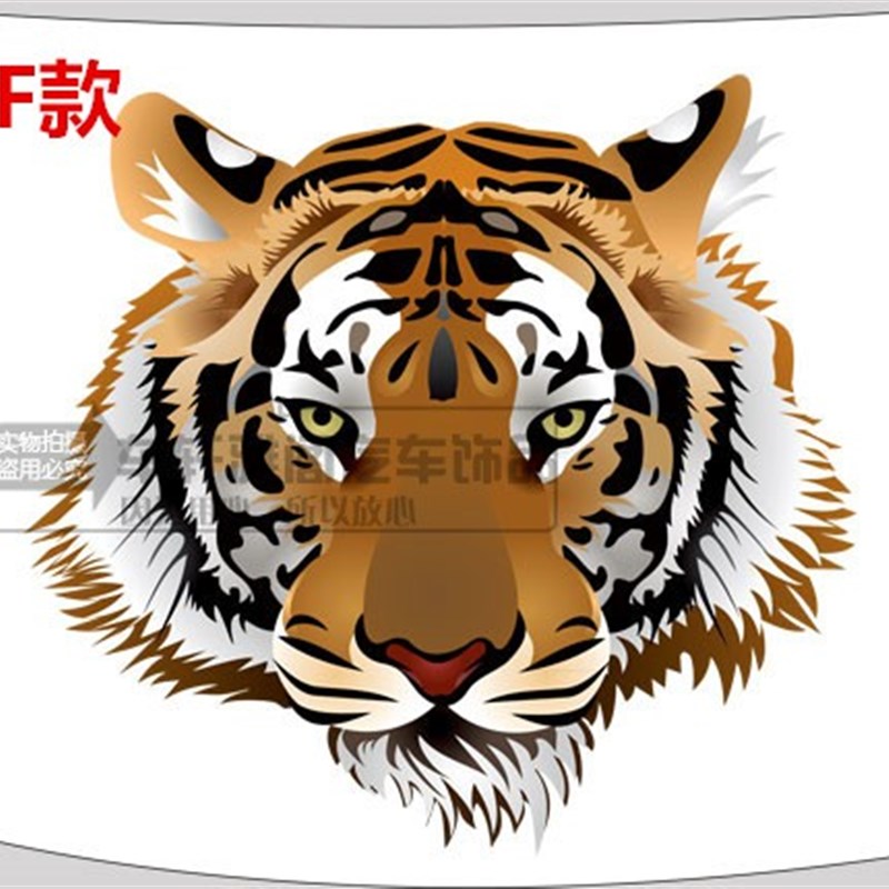 老虎头创意个性划痕遮挡机头盖引擎盖贴纸 车门贴纸 备胎贴纸