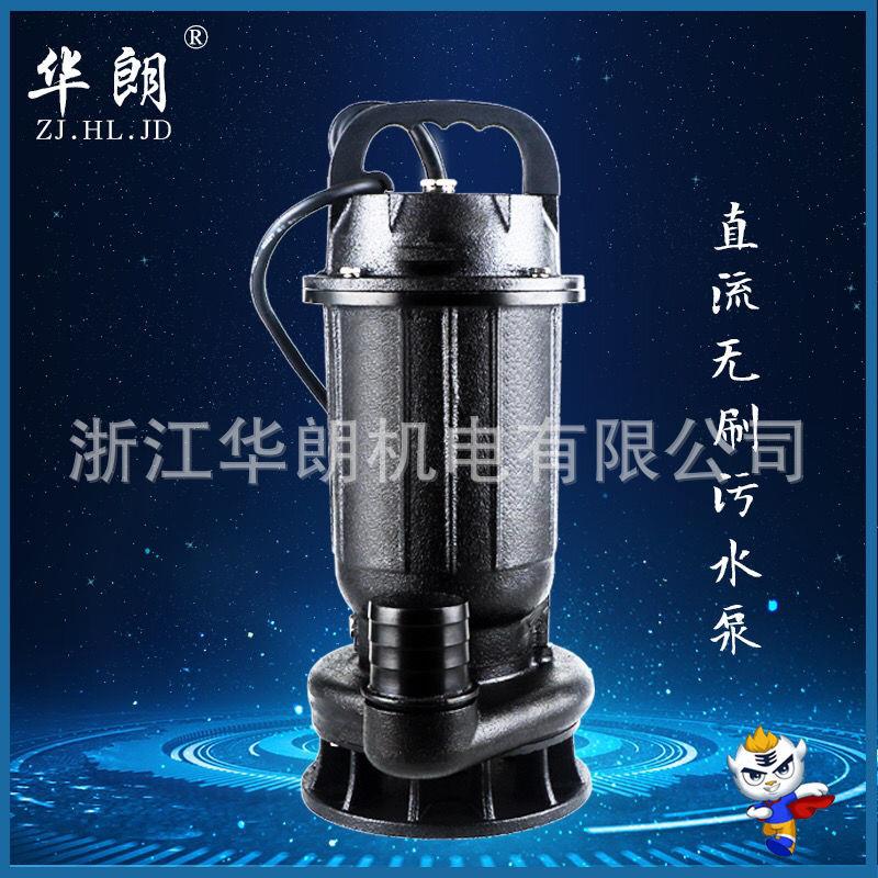直流无刷污水泵排污泵48V60V72V大流量电瓶车灌溉抽水泵2寸抽水机