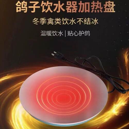 鸽子自动饮水喂水壶桶信赛专用鸡喝加热器恒温保温盘防冻用品用具
